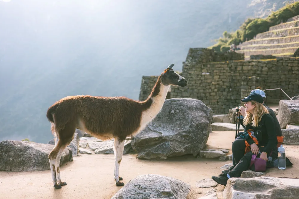 How to Implement RAG with Local Llama 2: Reducing Hallucinations Without External APIs